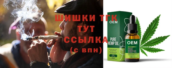 ГАЛЛЮЦИНОГЕННЫЕ ГРИБЫ Бородино