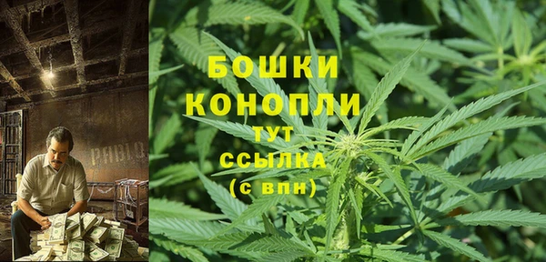 ГАЛЛЮЦИНОГЕННЫЕ ГРИБЫ Бородино