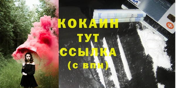 ГАЛЛЮЦИНОГЕННЫЕ ГРИБЫ Бородино