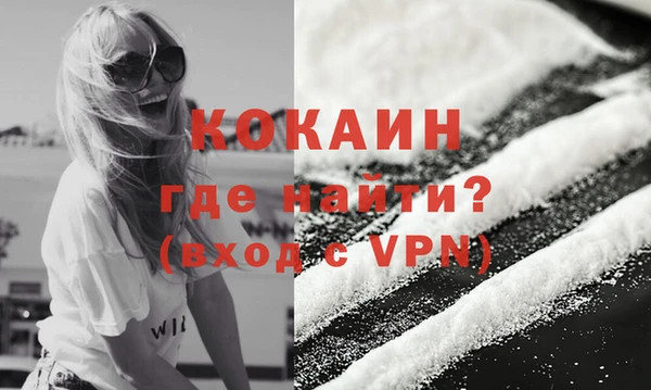 ГАЛЛЮЦИНОГЕННЫЕ ГРИБЫ Бородино