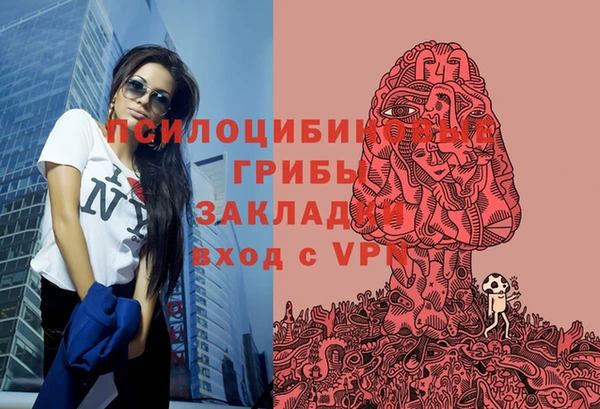 ГАЛЛЮЦИНОГЕННЫЕ ГРИБЫ Бородино